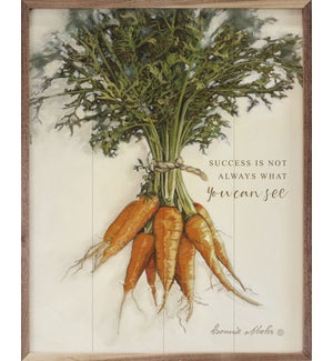 What You Can See Carrots By Bonnie Mohr